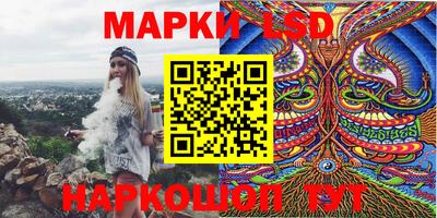 mdpv Новодвинск