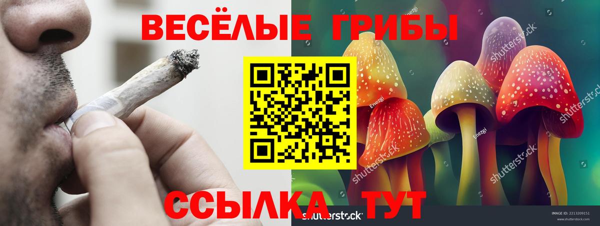 Галлюциногенные грибы мицелий  Вход с VPN  Рязань  Псилоцибиновые грибы ЛСД 